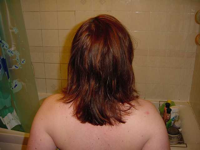 Picture 038.jpg
